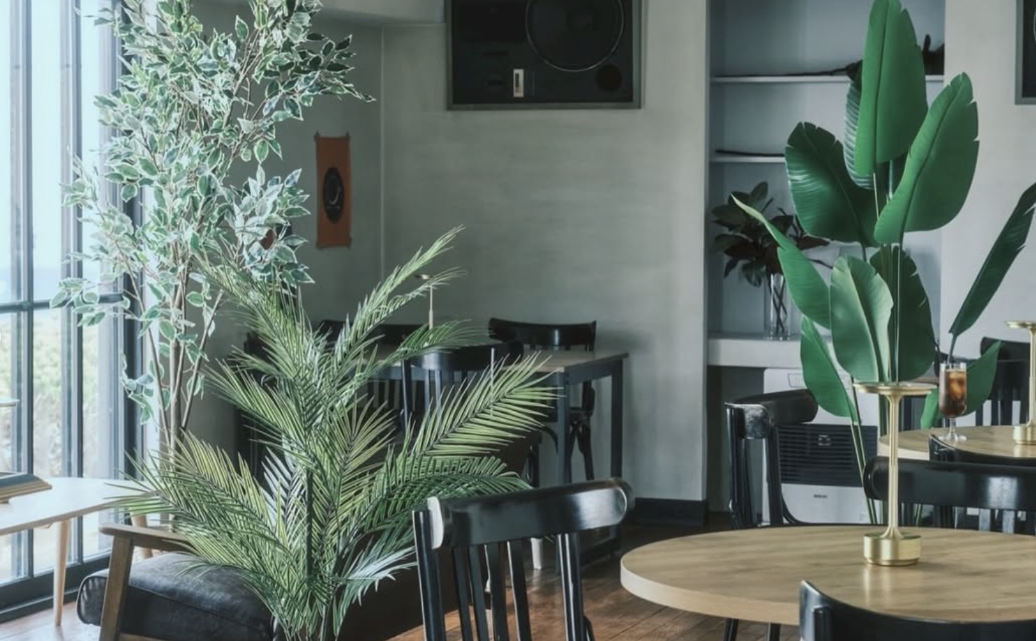 木のテーブルと植物があるCAFE de TORYの店内